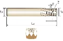 L1212_dra.webp