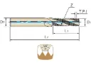Gewindefräser BSP(G) IKZ